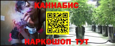 МДПВ Можга