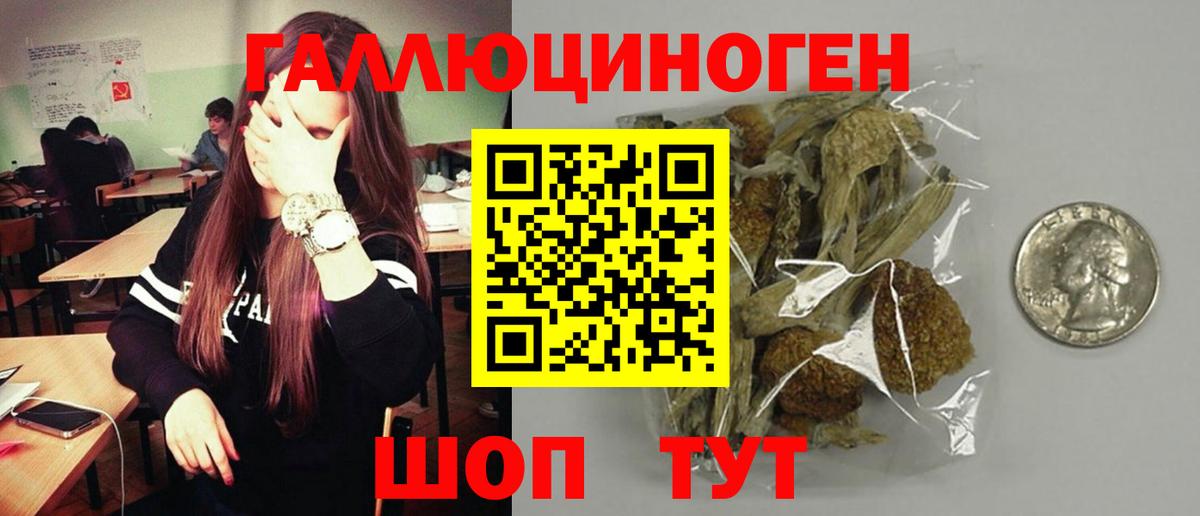 Фролово  Псилоцибиновые грибы мицелий  Вход с VPN 